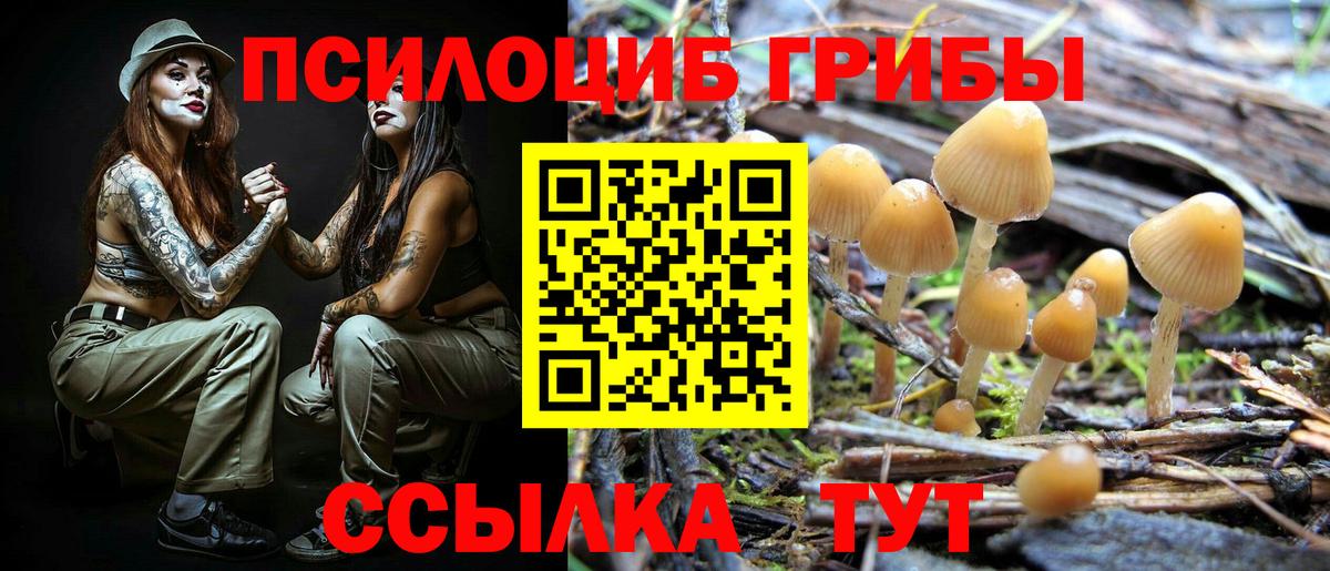 Галлюциногенные грибы мухоморы Хабаровск