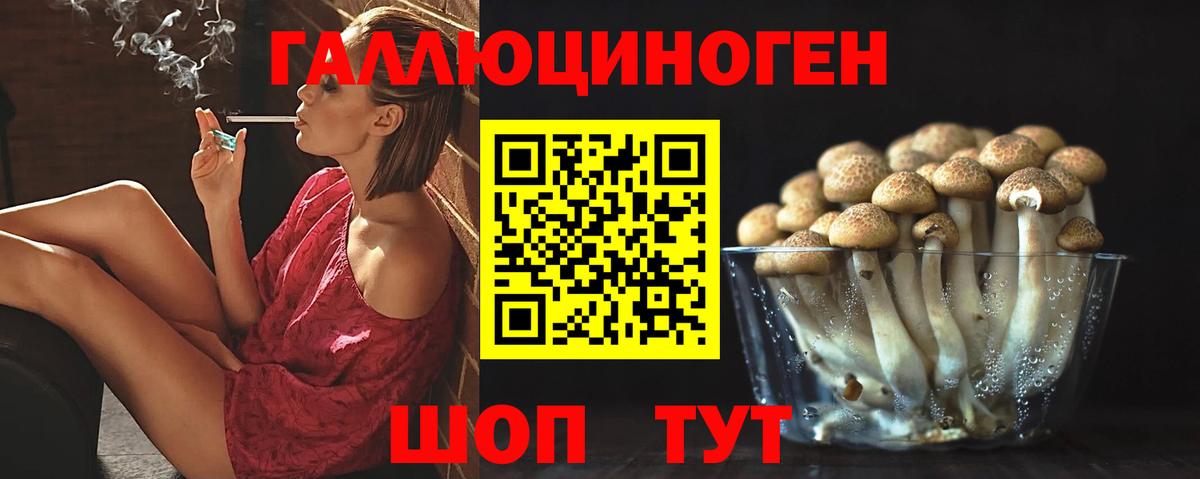 Галлюциногенные грибы MAGIC MUSHROOMS  Вход с VPN  Хабаровск  Галлюциногенные грибы Magic Shrooms 